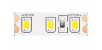 5м. Светодиодная лента холодного цвета 6000K, 14,4W, 12V, 120LED, IP65 Led strip Maytoni 10119