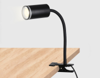 Настольная лампа переносная на прищепке с выключателем Ambrella light WALLERS FW2468