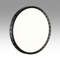 Настенно-потолочный светильник Sonex Pale Atabi Black 7649/DL