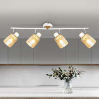 Светильник спот с Led лампочками в комплекте Rivoli Б0054663+Lamps