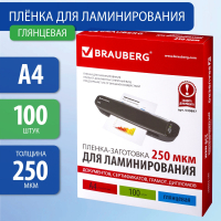 Пленки-заготовки для ламинирования А4, КОМПЛЕКТ 100 шт., 250 мкм, BRAUBERG, 530897 (530897)