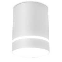 Накладной точечный светодиодный светильник Ambrella light Techno spot TN280