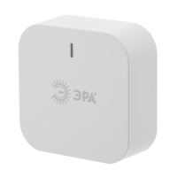 Центр управления устройствами для дома Эра DI-101, Smart Zigbee (Б0049183)