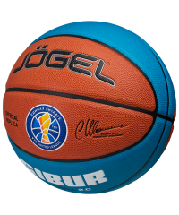 Мяч баскетбольный Pro Training ECOBALL 2.0 Replica №5 Jögel ЦБ-00003279