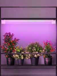 Линейный светодиодный светильник для растений Эра FITO-24W-RB-N 24W (Б0061425)