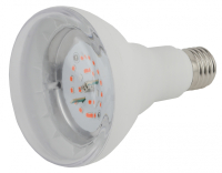 Лампа светодиодная ЭРА E27 16W 1310K прозрачная FITO-16W-RB-E27-K Б0039072