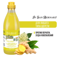 ISB Fruit of the Grommer Ginger&Elderbery Шампунь для любого типа шерсти против раздражений и перхоти 1 л