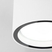 Уличный светильник Elektrostandard Light 26231 IP54 35144/H (a057867)