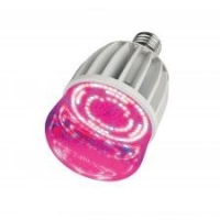 Лампа светодиодная для растений (11098) E27 20W 650K прозрачная LED-M80-20W/SP/E27/CL Uniel