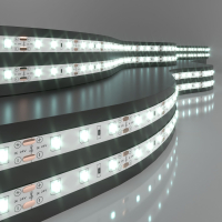 5м. Светодиодная лента холодного цвета 6500К 2835, 4,8W, 24V, 60LED/m, IP20 Elektrostandard (a052955)