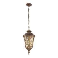 Уличный подвесной светильник с лампочкой Favourite Luxus 1495-1P+Lamps А60