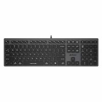 Клавиатура проводная A4TECH Fstyler FX50, USB, 109 кнопок, серая, 1624628 (513918)