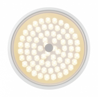 Потолочный светодиодный светильник с пультом ДУ Freya Cells FR10012CL-L24W