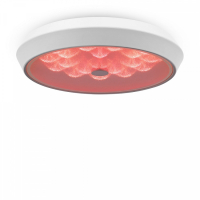Потолочный светодиодный светильник с пультом ДУ Freya Cells FR10012CL-L24W