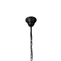 1976-1P Подвесной светильник Favourite Situla