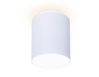 TN261 WH/S Накладной точечный светильник Ambrella light Techno