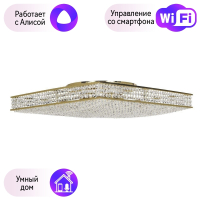 Потолочная люстра Dio DArte Elite с поддержкой Алиса Como E 1.2.60.100 G-A