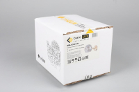 OML-93301-01 Бра Omnilux Ostellato