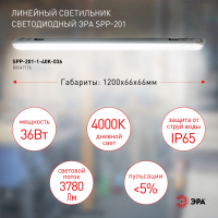 Линейный светодиодный светильник Эра SPP-201-1-40K-036 (Б0047176)