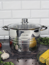 Кастрюля из нержавеющей стали 6л 22*17 см Kamille 5402