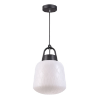 Уличный подвесной светильник Novotech Conte с лампочкой 370601+Lamps E27 Свеча