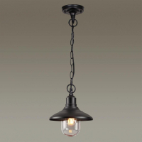 Уличный подвесной светильник Campa Odeon Light 4965/1