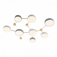 Потолочная светодиодная люстра Evoluce Dossena SLE600102-08