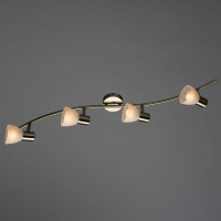 A5062PL-4AB Спот Arte Lamp PARRY
