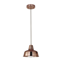 Подвесной светильник с лампочкой Favourite 1845-1P+Lamps