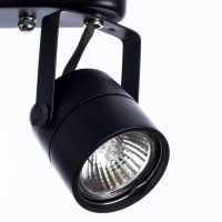 A1310PL-2BK Спот Arte Lamp Lente