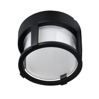 Уличный потолочный светильник Arte Lamp Unysses A6206PF-1BK