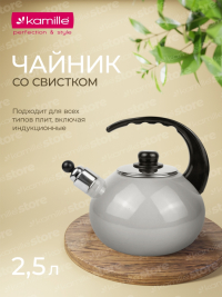 Эмалированный чайник со свистком 2.5 л Kamille 1039B