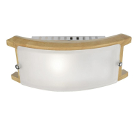 Настенное бра в наборе с LED лампой. Комплект от Lustrof №35226-709309